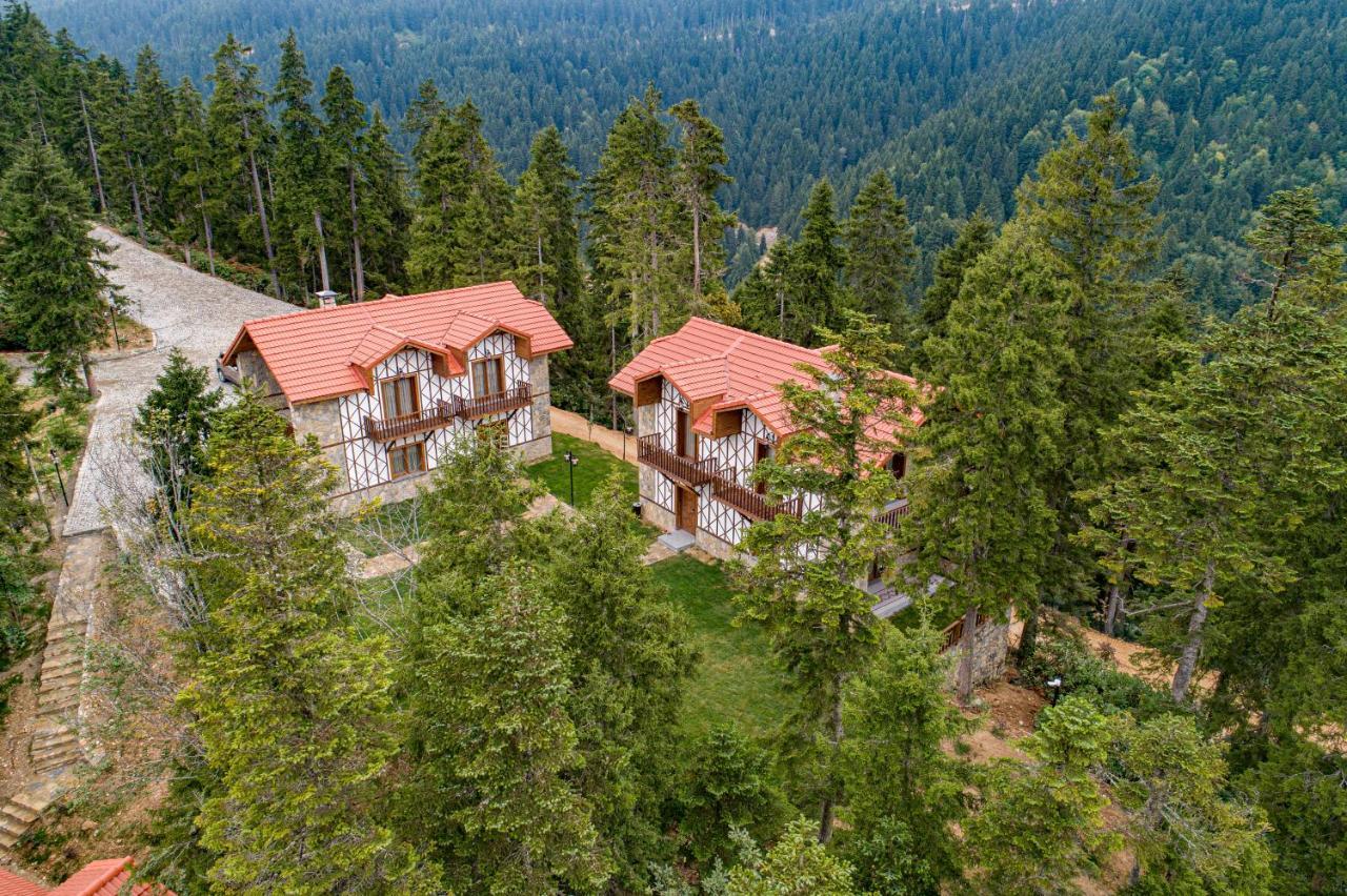 Foleya Mountain Resort Hotel & Villas ترابزون المظهر الخارجي الصورة