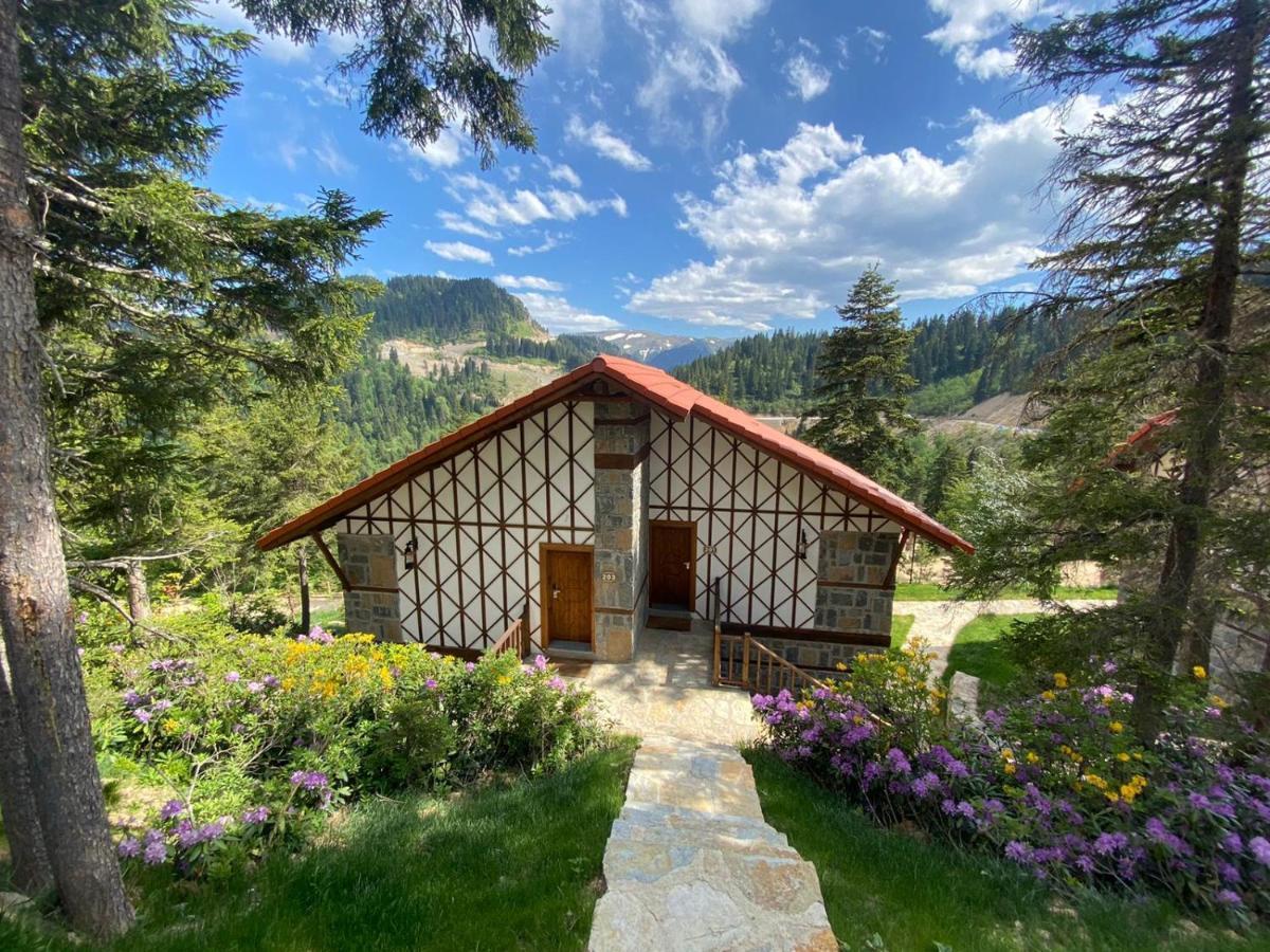 Foleya Mountain Resort Hotel & Villas ترابزون المظهر الخارجي الصورة