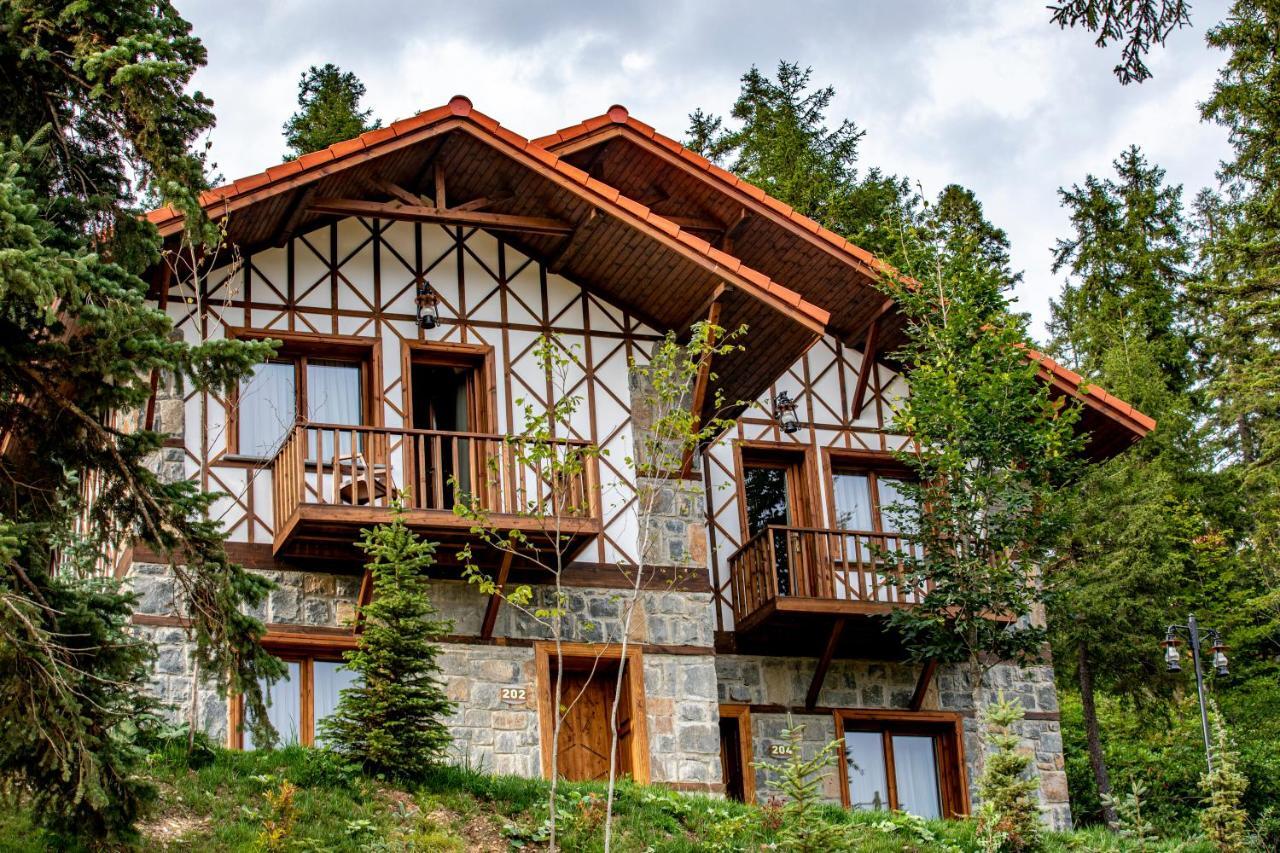 Foleya Mountain Resort Hotel & Villas ترابزون المظهر الخارجي الصورة
