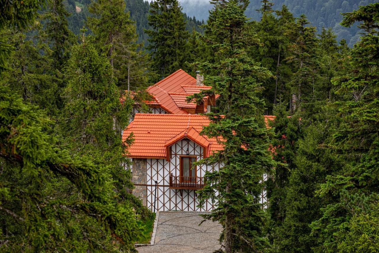 Foleya Mountain Resort Hotel & Villas ترابزون المظهر الخارجي الصورة