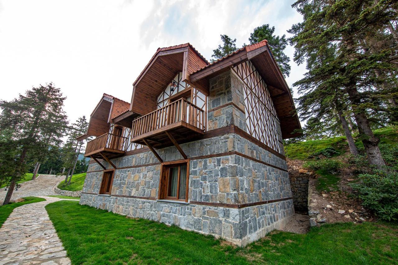 Foleya Mountain Resort Hotel & Villas ترابزون المظهر الخارجي الصورة